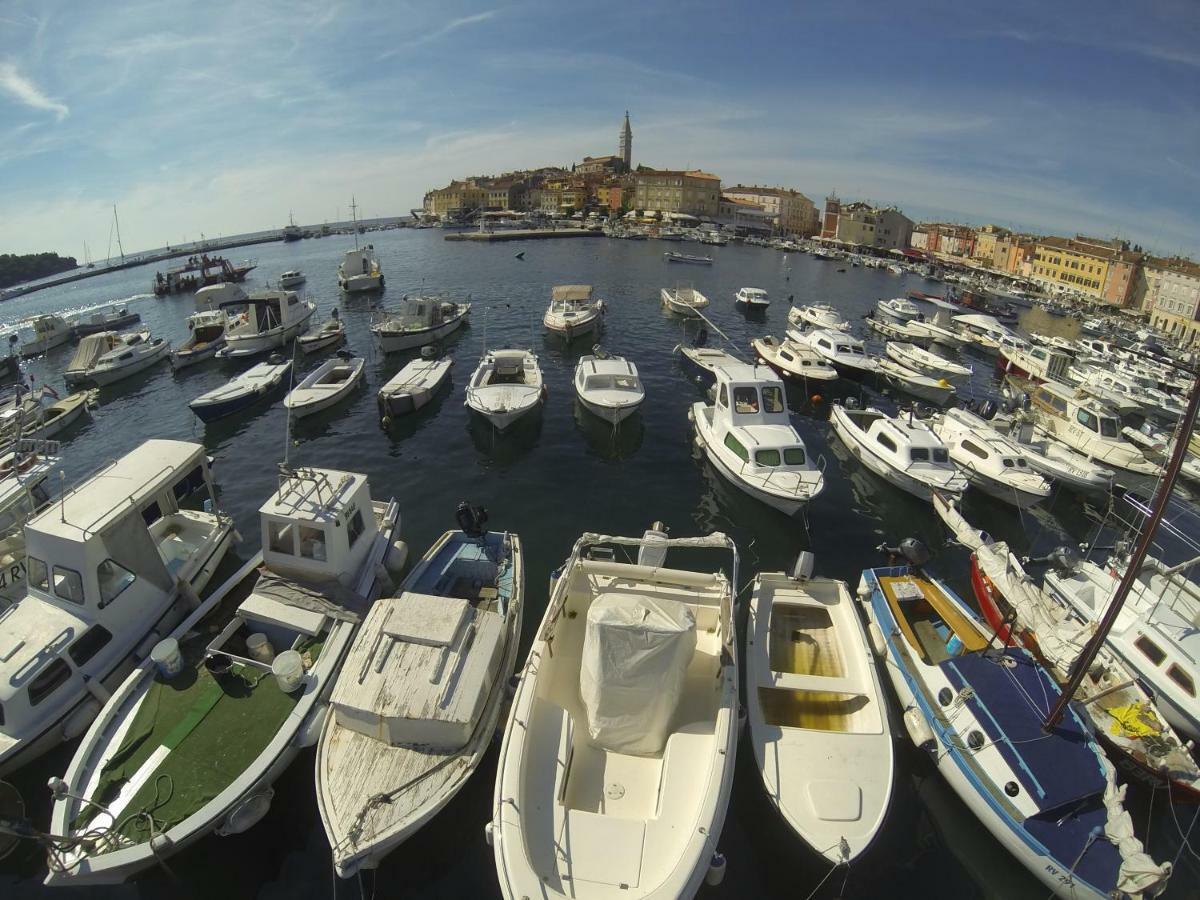 Apartma Jelka Novigrad Istria Eksteriør bilde
