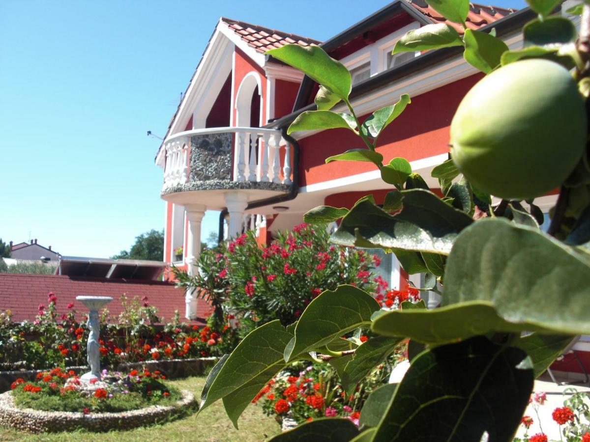 Apartma Jelka Novigrad Istria Eksteriør bilde